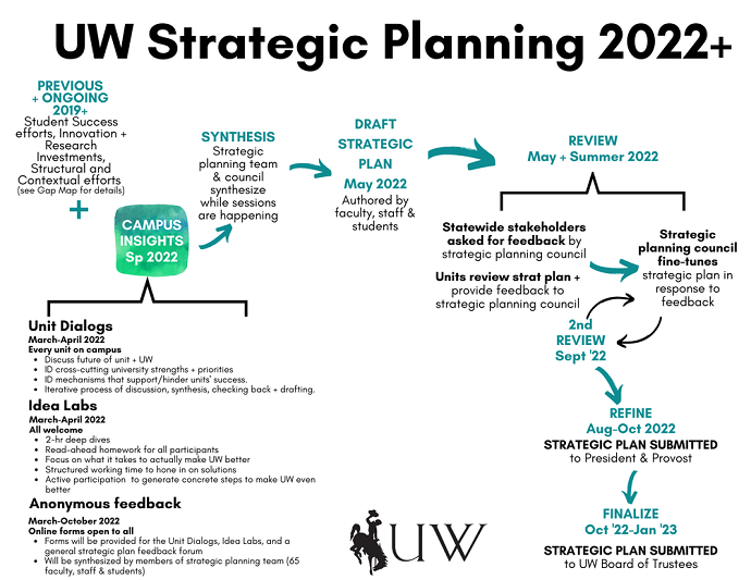 Flow chart of the planning process for the Strategic Plan