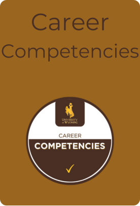career competencies button