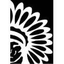 ncai logo - black and white chief