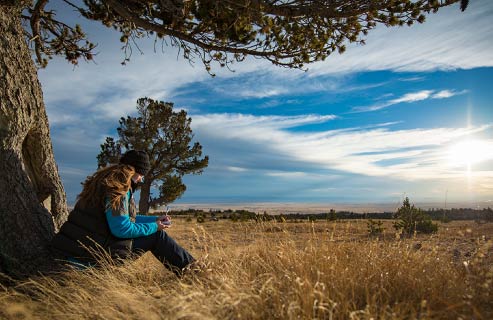 A student studies under a tree outside of Laramie.