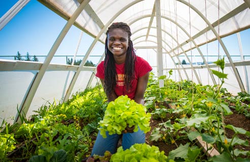 A student works inside the university greenhouse for class.