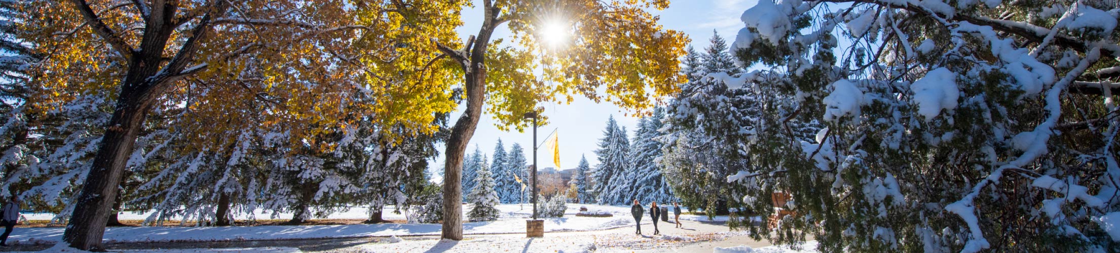 Students walk to class on a snowy fall day.