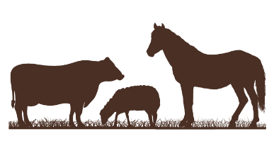 cow, sheep, horse graphic