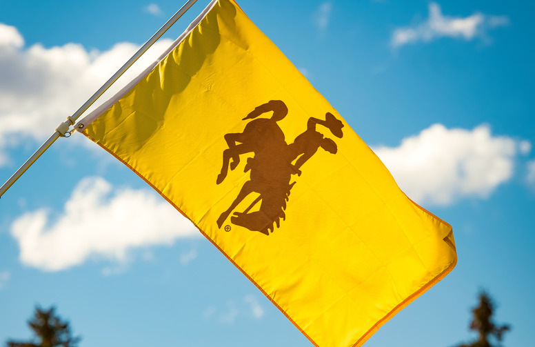 A yellow UW flag with the bucking horse logo in front of a blue and cloud sky.
