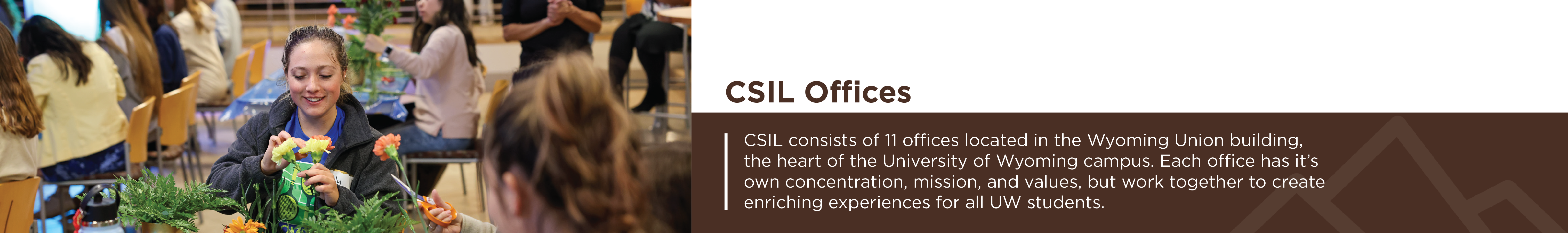CSIL consists of 11 offices located in the Wyoming Union building in  the heart of the University of Wyoming campus. Each office has it’s  own concentration, mission, and values, but work together to create enriching experiences for UW students.  