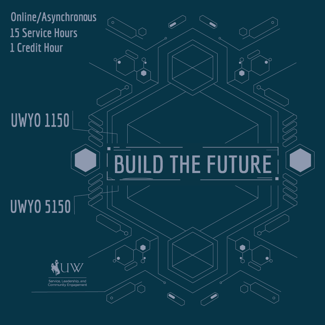 Build the Future. UYWO 1150/5150. Online. Asynchronous. 1 credit hour. 15 service hours. Both semesters. 