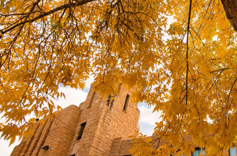 The UW Union Building surrounded by trees with golden autumn leaves
