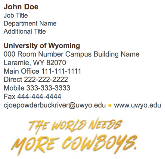 option 3 image with 'the world needs more cowboys' logo