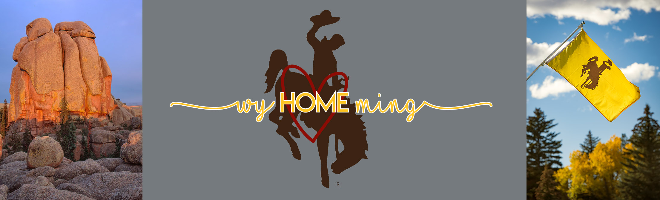 steamboat logo with heart and text wyHOMEing