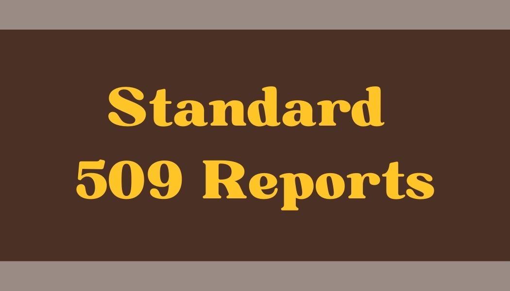 Standard 509 Reports Icon