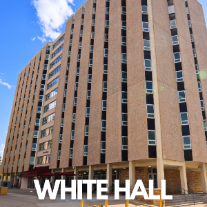 image of white hall building on campus