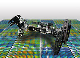 a multi-legged robot