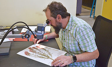 man examining a plant specimen through a magniifier