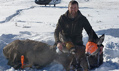 man in the snow with two captured deer