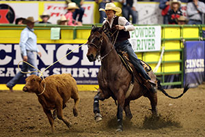 person on horse roping calf
