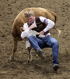 man trying to wrestle a steer to the ground