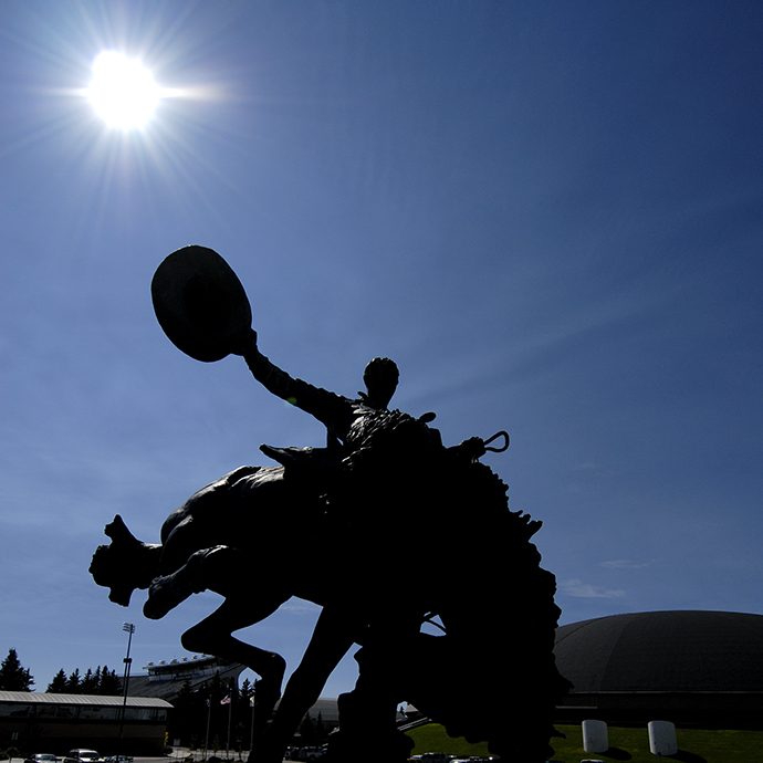 a UW cowboy statue of a bucking bronc and rider in the sun