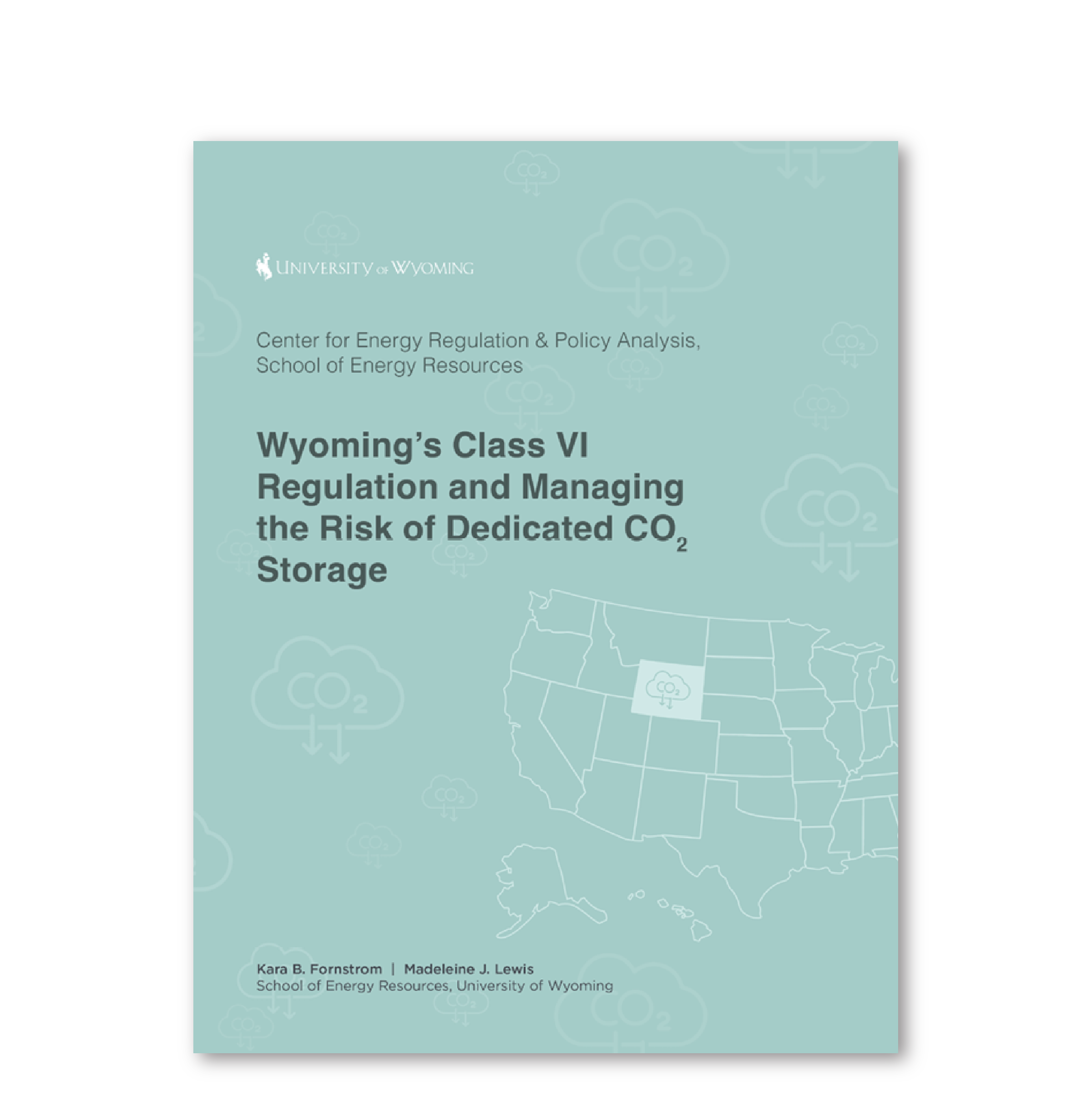Wyoming’s Class VI Regulation and Managing the Risk of Dedicated CO2 Storage