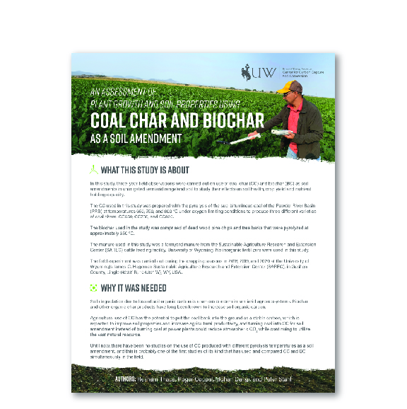 Coal Char and Biochar as a Soil Amendment