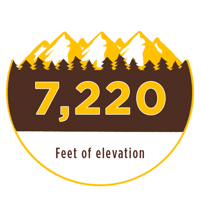 icon of trees and mountains with text 7,220 feet of elevation