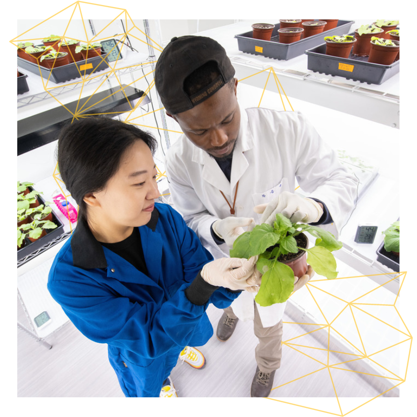 two students looking at plants in a research lab