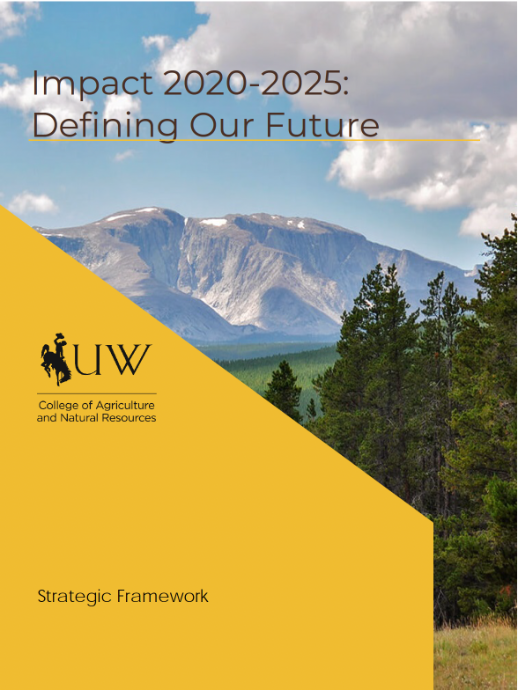 Impact 2020: Defining Our Future