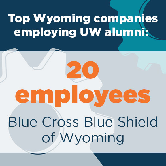 Blue Cross Blue Shield of Wyoming - 20 employees