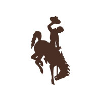 UW Bucking Horse Icon